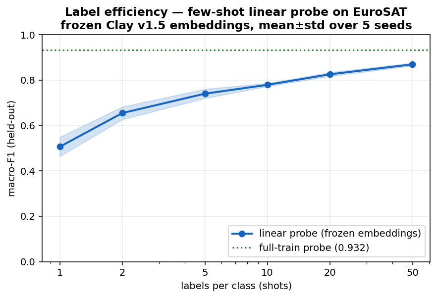 Few-shot label efficiency
